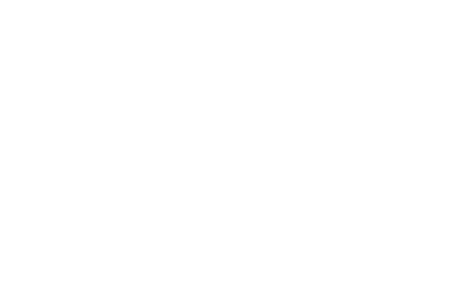 Lanka Ventures